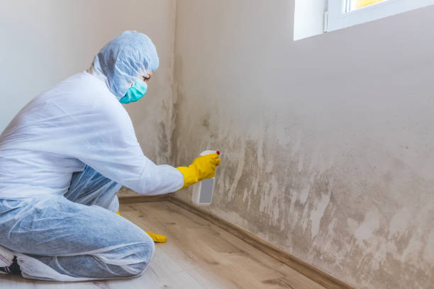 Hvac And Air Duct Mold Remediation inspection of HVAC system in River Edge